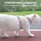 Adjustable Soft Cat Harness And Leash Set 3