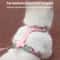 Adjustable Soft Cat Harness And Leash Set 4