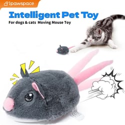 electric interactive moving mouse cat toy