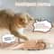 Electric Interactive Moving Mouse Cat Toy 2