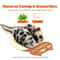 Electric Interactive Moving Mouse Cat Toy 6
