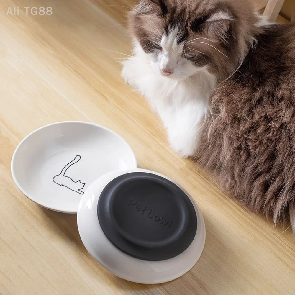 Ceramic Anti Slip Kitten Feeding Bowl 1