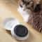 Ceramic Anti Slip Kitten Feeding Bowl 1
