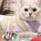 Winter Knit Sweater Vest For Cats 2