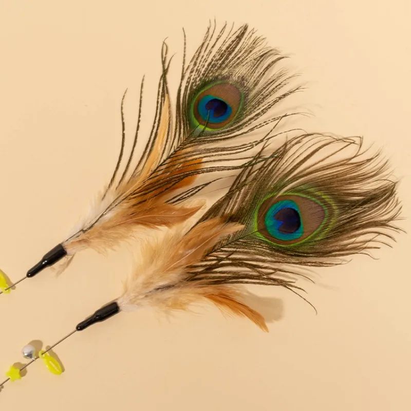 Interactive Peacock Feather Cat Wand Toy 2