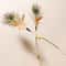 Interactive Peacock Feather Cat Wand Toy 5