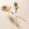 Interactive Peacock Feather Cat Wand Toy 5