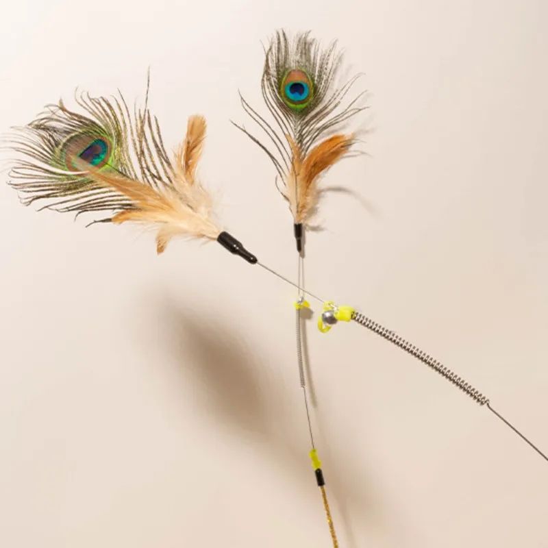 Interactive Peacock Feather Cat Wand Toy 5