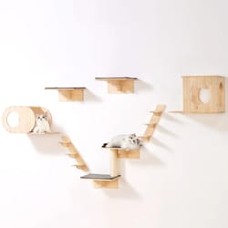 wall mounted cat shelves and perches set