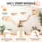 Wall Mounted Cat Shelves And Perches Set 2