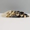 Personalized Luxury Velvet Cat Collar With Bow Tie 1