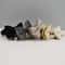 Personalized Luxury Velvet Cat Collar With Bow Tie 3