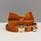 Personalized Luxury Velvet Cat Collar With Bow Tie 18
