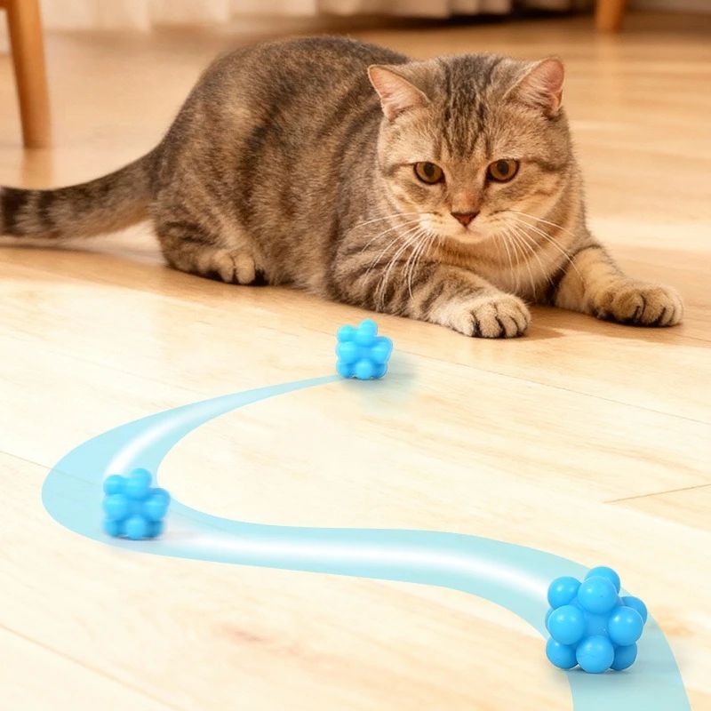 Interactive Bouncy Cat Chew Ball Toy 3
