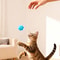 Interactive Bouncy Cat Chew Ball Toy 5