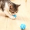 Interactive Bouncy Cat Chew Ball Toy 9