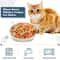 Whisker Friendly Cat Bowls Set Non Slip Feeding Dishes 3