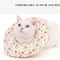 Soft Donut Recovery Collar For Cats And Small Dogs 4