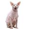 Breathable Summer Striped Shirt For Sphynx Cats 1