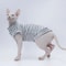 Breathable Summer Striped Shirt For Sphynx Cats 2