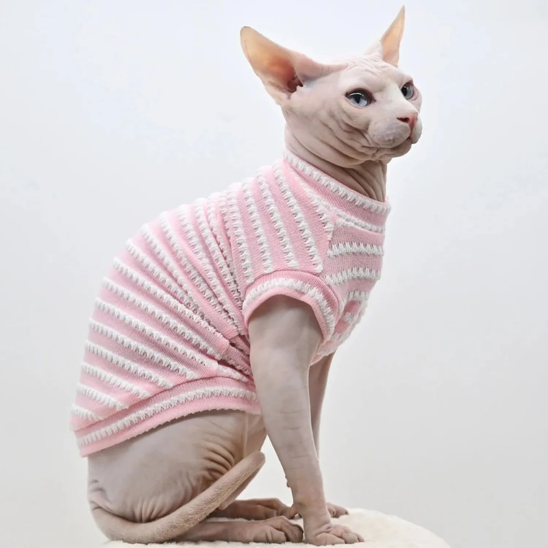 Breathable Summer Striped Shirt For Sphynx Cats 3