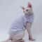 Breathable Summer Striped Shirt For Sphynx Cats 4