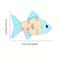 Colorful Fish Catnip Kicker Toy With Crinkle Paper 6