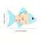 Colorful Fish Catnip Kicker Toy With Crinkle Paper 6