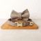 Personalized Pet Collar With Bow Tie And Engraved Name Tag 10