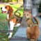 Tactical Pet Harness And Leash Set With Control Handle 5