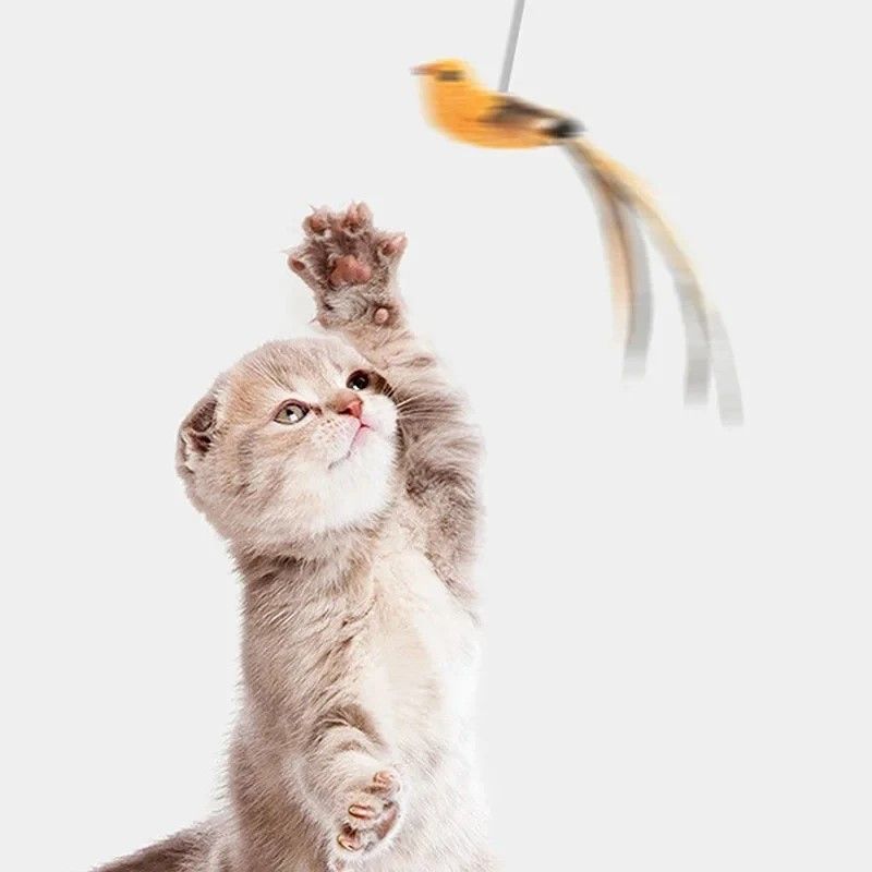 FeatherBird Interactive Cat Wand Premium SuctionStick Teaser For Confident Indoor Cats 0