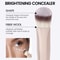 MAANGE Precision Triangle UnderEye Concealer Foundation Brush 4