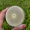 Natural Selenite Charging Plate Quartz Crystal Disk For Home Decor Energy Refresh 4