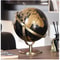 Elegant Crafted Globe Modern Desk World Map Globe For Home Study Decor 13