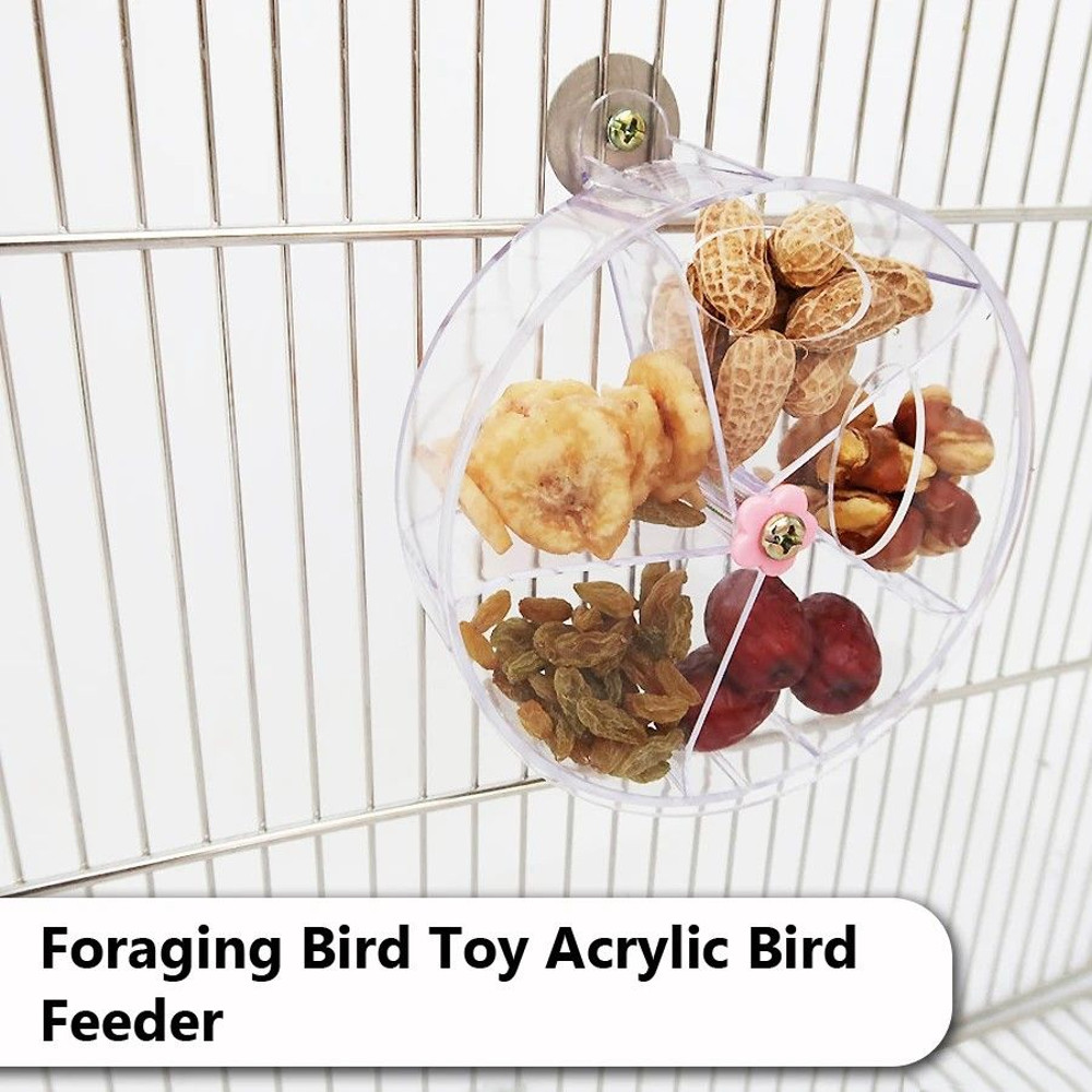 Ultimate Foraging Wheel Bird Toy Rotate Feed Parrot Activity Kit 4