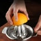 Premium Stainless Steel Citrus Press Effortless Lemon Orange Squeezer 2