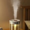 HomeMist DualSpray 2 L USB Humidifier With LED Display 6