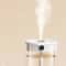 HomeMist DualSpray 2 L USB Humidifier With LED Display 7