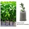 EcoGrow 8x10 Cm Biodegradable Nursery Bags 100 Pack Seed Starter Fabric Pots 1