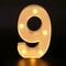GlowUp Deluxe Alphabet Number LED Decor Lamp Customizable Home Wedding Birthday Signage 11