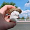 Hammy StrawHat Dashboard Buddy Adorable Hamster Car Ornament For Your Ride 0