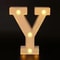 Radiant Letter Number LED Decor Lamp Personalized Home Wedding Party Signage 25