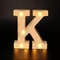 Radiant Letter Number LED Decor Lamp Personalized Home Wedding Party Signage 11