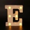 Radiant Letter Number LED Decor Lamp Personalized Home Wedding Party Signage 5