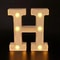 Radiant Letter Number LED Decor Lamp Personalized Home Wedding Party Signage 8
