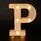 Radiant Letter Number LED Decor Lamp Personalized Home Wedding Party Signage 16