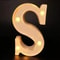 Radiant Letter Number LED Decor Lamp Personalized Home Wedding Party Signage 19