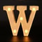 Radiant Letter Number LED Decor Lamp Personalized Home Wedding Party Signage 23