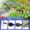 GardenGlow Dandelion Solar LED Lights Waterproof Outdoor Solar Garden Lights 3