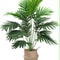 TropicLuxe 70120 Cm Artificial Palm Tree Lush Plastic TurtleLeaf Tropical Decor 7